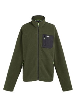 Polar męski Frankie Borg Fleece Regatta ze sklepu SPORT-SHOP.pl w kategorii Bluzy męskie - zdjęcie 175531463