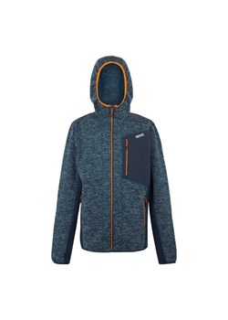 Polar męski Alven Regatta ze sklepu SPORT-SHOP.pl w kategorii Bluzy męskie - zdjęcie 175531581