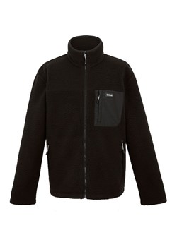 Polar męski Frankie Borg Fleece Regatta ze sklepu SPORT-SHOP.pl w kategorii Bluzy męskie - zdjęcie 175531624