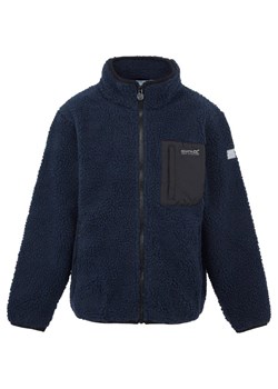 Polar juniorski Frankie Full Zip Fleece Regatta ze sklepu SPORT-SHOP.pl w kategorii Bluzy chłopięce - zdjęcie 175555483