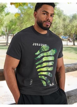 Sinsay - Koszulka Jurassic Park - szary ze sklepu Sinsay w kategorii T-shirty męskie - zdjęcie 175573684