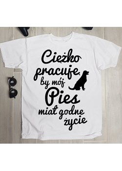 koszulka męska ze sklepu Time For Fashion w kategorii T-shirty męskie - zdjęcie 175633040