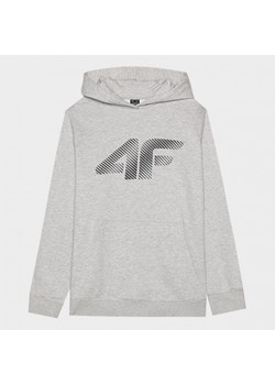 Męska bluza dresowa nierozpinana z kapturem 4F 4FWMM00TSWSM1766 - szara ze sklepu Sportstylestory.com w kategorii Bluzy męskie - zdjęcie 175652383