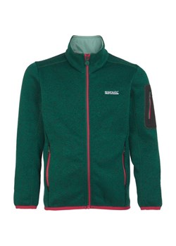 Polar juniorski Newhill Regatta ze sklepu SPORT-SHOP.pl w kategorii Bluzy dziewczęce - zdjęcie 175862281