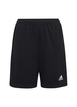 Entrada 22 Training Shorts ze sklepu Decathlon w kategorii Spodenki męskie - zdjęcie 176097304