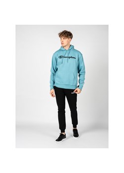 Bluza trekking męska Hoodie ze sklepu Decathlon w kategorii Bluzy męskie - zdjęcie 176133843