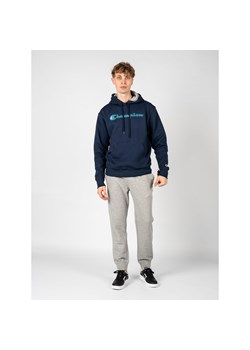 Bluza trekking męska Hoodie ze sklepu Decathlon w kategorii Bluzy męskie - zdjęcie 176133904