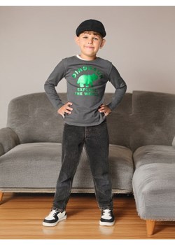 Sinsay - Koszulka z długimi rękawami - szary ze sklepu Sinsay w kategorii T-shirty chłopięce - zdjęcie 176360163