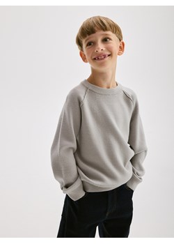 Reserved - Sweter z wiskozą - jasnoszary ze sklepu Reserved w kategorii Bluzy chłopięce - zdjęcie 176368364