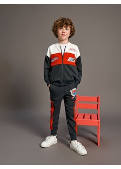 Sinsay - Spodnie dresowe jogger Hot Wheels - szary ze sklepu Sinsay w kategorii Dresy chłopięce - zdjęcie 176464312