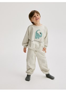 Reserved - Bawełniany komplet z aplikacją - jasnoszary ze sklepu Reserved w kategorii Komplety chłopięce - zdjęcie 176564031