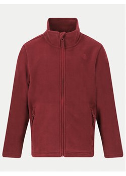 ZigZag Polar Zap Fleece Z211077 Fioletowy Regular Fit ze sklepu MODIVO w kategorii Bluzy dziewczęce - zdjęcie 177302042