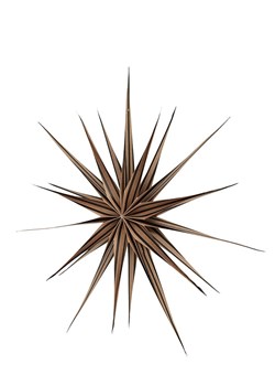 OYOY living design Gwiazda betlejemska w kolorze brązowym - Ø 60 cm ze sklepu Limango Polska w kategorii Dekoracje bożonarodzeniowe - zdjęcie 177471540