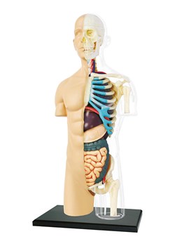 MGM 37-częściowy zestaw naukowy - 8+ ze sklepu Limango Polska w kategorii Zabawki - zdjęcie 178125823