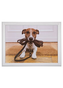 Mars &amp; More Taca &quot;Jack Russell&quot; w kolorze białym - 43 x 43 cm ze sklepu Limango Polska w kategorii Tace - zdjęcie 178143222