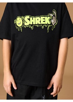 Sinsay - Koszulka Shrek - czarny ze sklepu Sinsay w kategorii T-shirty chłopięce - zdjęcie 178187271