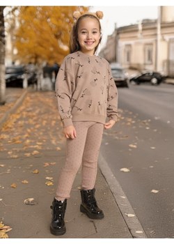 Sinsay - Bluza - brązowy ze sklepu Sinsay w kategorii Bluzy dziewczęce - zdjęcie 178187330