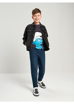 Sinsay - Koszulka Smerf - szary ze sklepu Sinsay w kategorii T-shirty chłopięce - zdjęcie 178204314