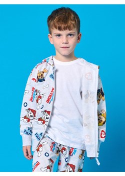 Sinsay - Bluza Paw Patrol - szary ze sklepu Sinsay w kategorii Bluzy chłopięce - zdjęcie 178323463