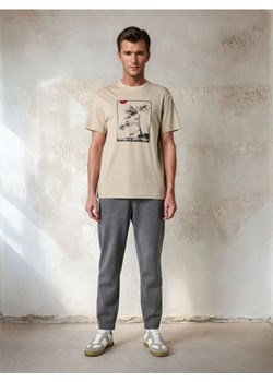 Sinsay - Koszulka - Inny ze sklepu Sinsay w kategorii T-shirty męskie - zdjęcie 178338790