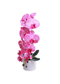 Fuksjowo biały storczyk orchidea Kompozycja kwiatowa 1 Pęd 55 cm KOMp69 S240 ze sklepu Pantofelek24.pl w kategorii Dekoracje - zdjęcie 178533853