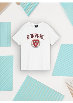 Sinsay - Koszulka Harvard - kremowy ze sklepu Sinsay w kategorii T-shirty męskie - zdjęcie 178643874