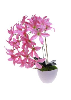 Różowy storczyk Cybidium Kompozycja kwiatowa 3 Pędy 50 cm KOMp84 S240 ze sklepu Pantofelek24.pl w kategorii Dekoracje - zdjęcie 178648054