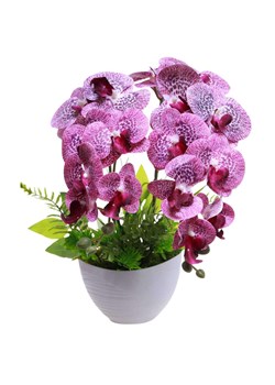 Fioletowy storczyk orchidea Kompozycja kwiatowa 2 Pędowy 50 cm KOMp89 S340 ze sklepu Pantofelek24.pl w kategorii Dekoracje - zdjęcie 178689270