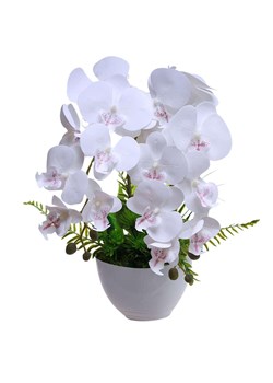 Biały storczyk orchidea Kompozycja kwiatowa 2 Pędowy 50 cm KOMp93 S340 ze sklepu Pantofelek24.pl w kategorii Dekoracje - zdjęcie 178717903