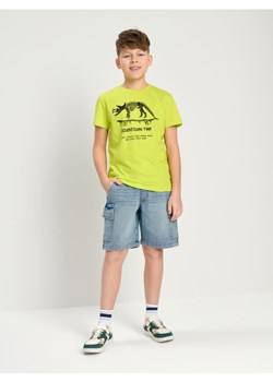 Sinsay - Koszulka - zielony ze sklepu Sinsay w kategorii T-shirty chłopięce - zdjęcie 178801680