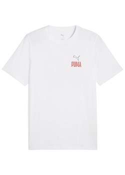 Koszulka męska Road To Unity Values Graphic Puma ze sklepu SPORT-SHOP.pl w kategorii T-shirty męskie - zdjęcie 178972123