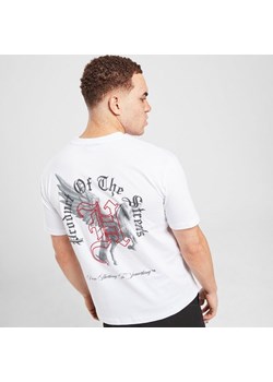 HOODRICH T-SHIRT PEGASUS TEE WHT ze sklepu JD Sports  w kategorii T-shirty męskie - zdjęcie 179009093