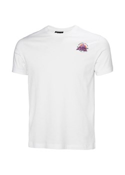 Koszulka męska Core Graphic 2.0 Helly Hansen ze sklepu SPORT-SHOP.pl w kategorii T-shirty męskie - zdjęcie 179010773