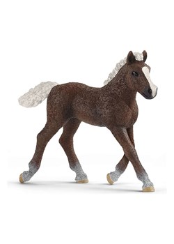 Schleich Figurka &quot;Black Forest foal&quot; do zabawy - 3+ ze sklepu Limango Polska w kategorii Zabawki - zdjęcie 179085134
