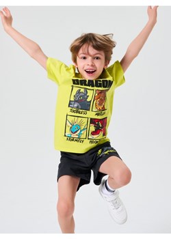 Sinsay - Koszulka z nadrukiem How to train your dragon - zielony ze sklepu Sinsay w kategorii T-shirty chłopięce - zdjęcie 179408990