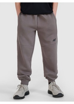 Chłopięce spodnie dresowe joggery 4F 4FJRSS25TTROM1369 - szare ze sklepu Sportstylestory.com w kategorii Spodnie chłopięce - zdjęcie 179733163