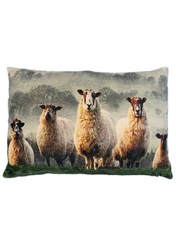 Mars &amp; More Poduszka &quot;Sheep in grass&quot; w kolorze beżowym - 40 x 60 cm ze sklepu Limango Polska w kategorii Kołdry i poduszki - zdjęcie 179756983