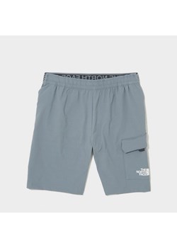 THE NORTH FACE SZORTY TRISHULL SHORT TW.GREY B ze sklepu JD Sports  w kategorii Majtki dziecięce - zdjęcie 179766882