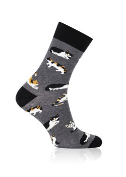 Skarpetki długie S166D KOTKI ze sklepu italianfashion w kategorii Skarpetki dziecięce - zdjęcie 179809270