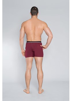 Logan bokserki ze sklepu italianfashion w kategorii Majtki męskie - zdjęcie 179809452
