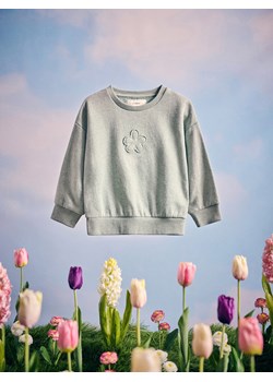 Reserved - Bawełniana bluza z aplikacją - jasnozielony ze sklepu Reserved w kategorii Bluzy dziewczęce - zdjęcie 180245851