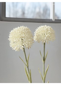 Sinsay - Roślina dekoracyjna 3 pack - Kwiat czosnku - biały ze sklepu Sinsay w kategorii Dekoracje - zdjęcie 180265503