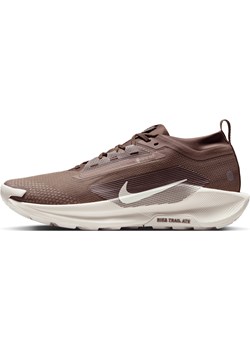Męskie wodoszczelne buty do biegania w terenie Nike Pegasus Trail 5 GORE-TEX SP - Brązowy ze sklepu Nike poland w kategorii Buty sportowe męskie - zdjęcie 180449934