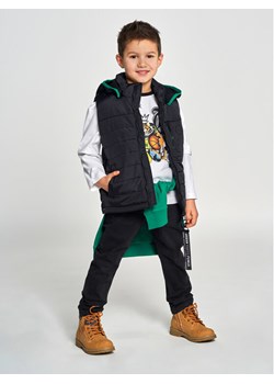 Birba Trybeyond Kamizelka 999 78299 00 Czarny Regular Fit ze sklepu MODIVO w kategorii Kamizelki męskie - zdjęcie 181049942