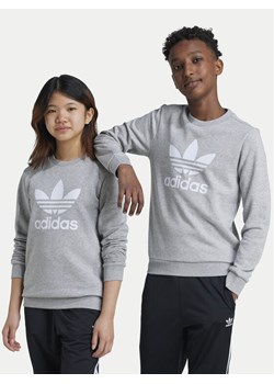 adidas Bluza Trefoil IY7436 Szary Regular Fit ze sklepu MODIVO w kategorii Bluzy chłopięce - zdjęcie 181171431
