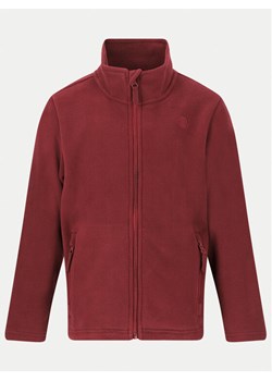 ZigZag Polar Zap Fleece Z211077 Fioletowy Regular Fit ze sklepu MODIVO w kategorii Bluzy dziewczęce - zdjęcie 181190481