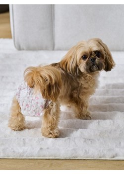 Sinsay - Pieluchy dla psa 10 pack - wielobarwny ze sklepu Sinsay w kategorii Dla zwierząt - zdjęcie 181929480