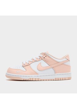 NIKE DUNK LOW BG ze sklepu JD Sports  w kategorii Buty sportowe damskie - zdjęcie 181946374