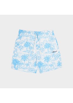 MCKENZIE SZORTY COAST SWM SHT CRM-GDNA ze sklepu JD Sports  w kategorii Spodenki męskie - zdjęcie 181946480