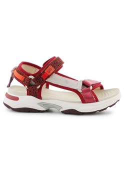 Sandały D.Franklin Sneakers Sandal Strips DFSH406003-Burg czerwone ze sklepu ButyModne.pl w kategorii Sandały damskie - zdjęcie 181955252